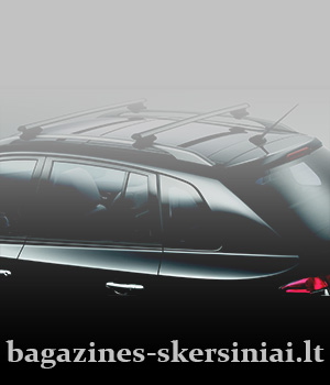 Bagažinės skersiniai 300x350