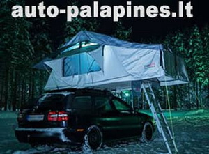 Auto palapines 300x221