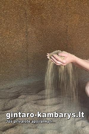 Gintaro kambarys-300x450-2